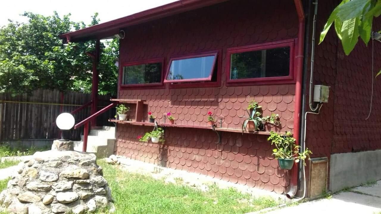 Canadian House Sărata-Monteoru Exterior foto