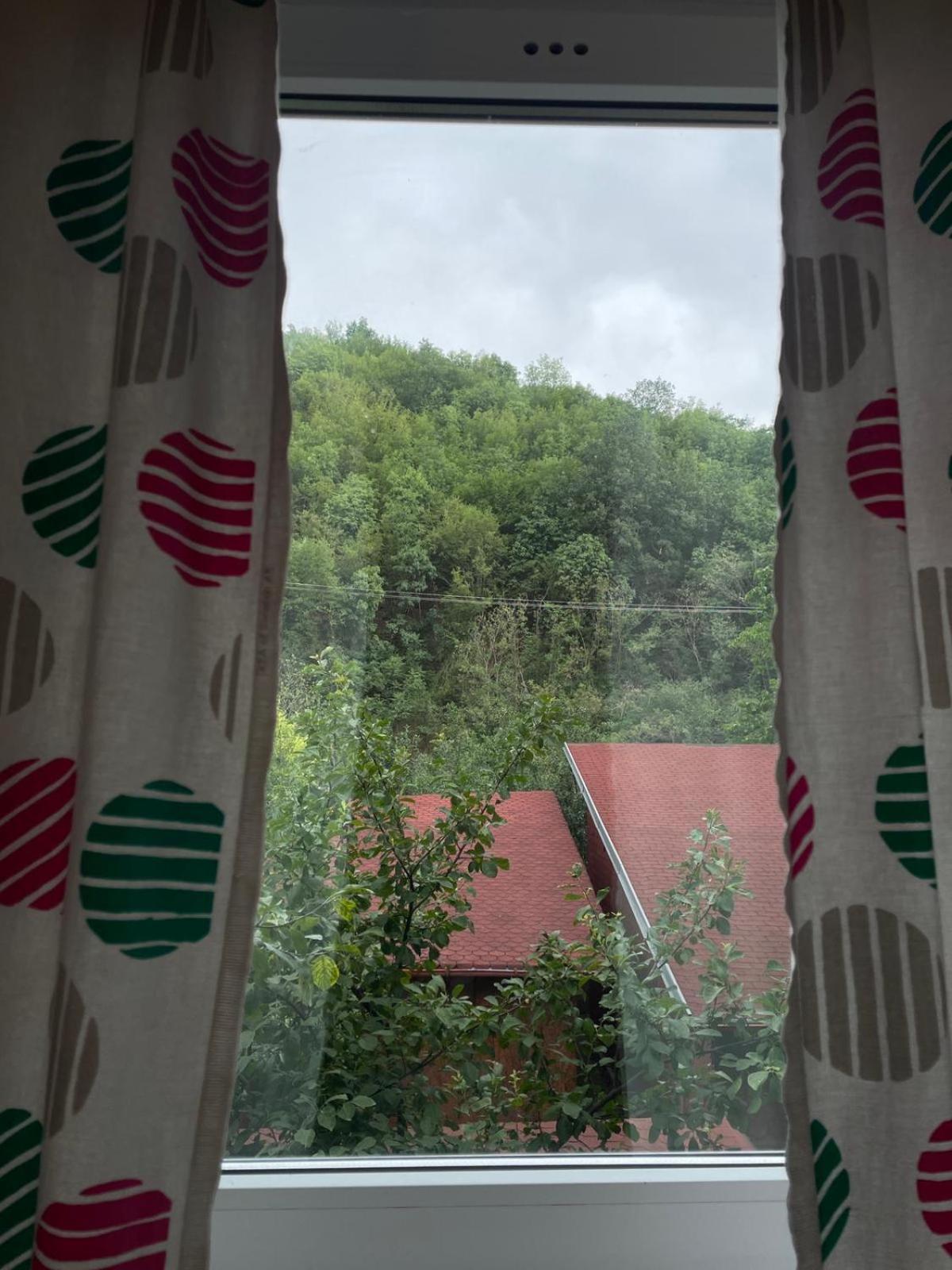 Canadian House Sărata-Monteoru Habitación foto